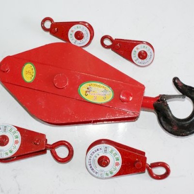 puly móc cẩu 10 tấn